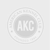 logo american kennel club