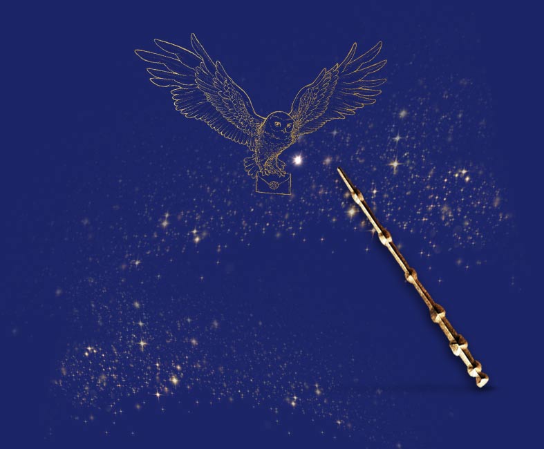 Harry Potter Books in Barnes and Noble