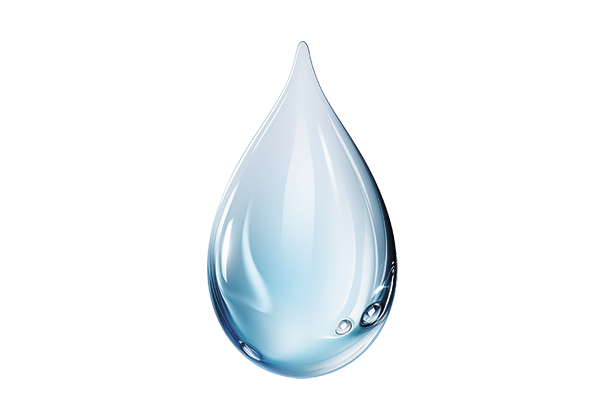 Kirkland Water Filter